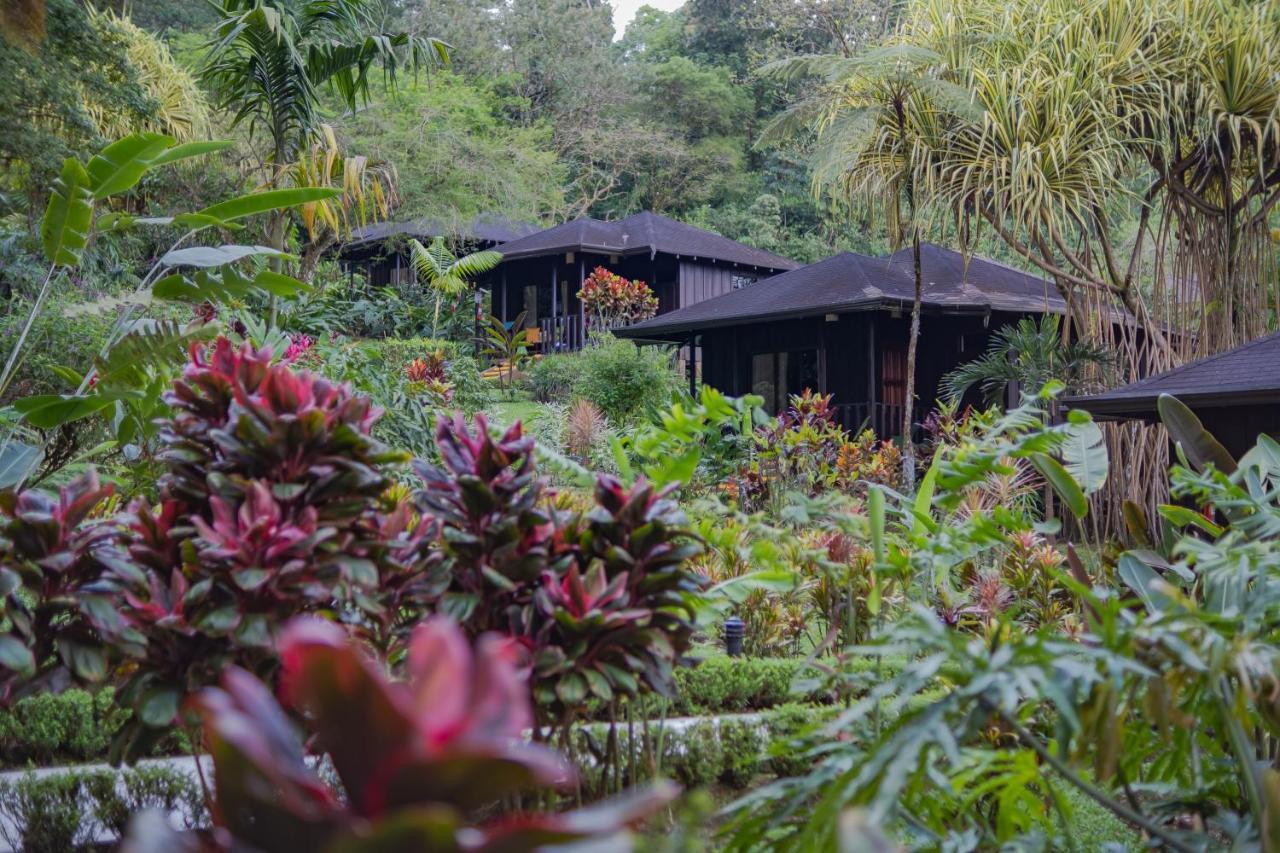 Hotel Lomas Del Volcan La Fortuna 외부 사진